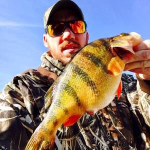 Meet your Posher, Aaron